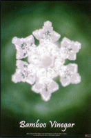 Dr. Masuru Emoto-Wasserkristall-Zertifikat